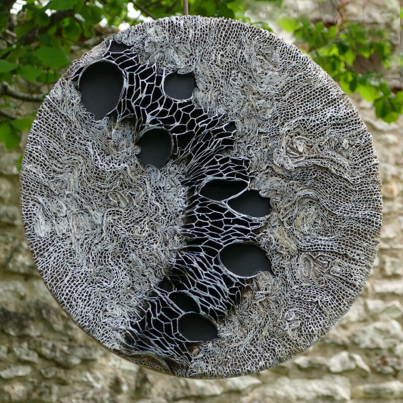 LICHEN LUNE 30cm