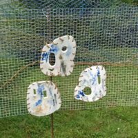 IMG_20240701_181300 