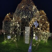 IMG_20230517_221312 