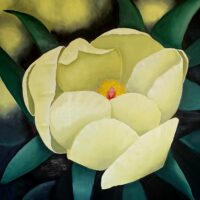 Gros plans de fleurs