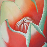 Tulipe du jardin20260228_105224 