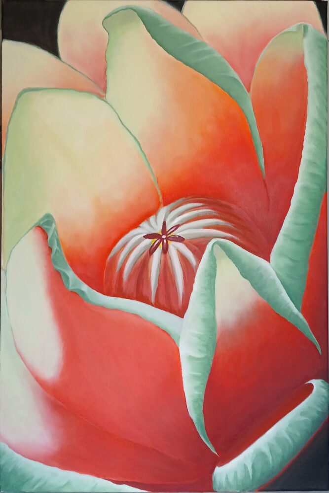 Tulipe du jardin20260228_105224