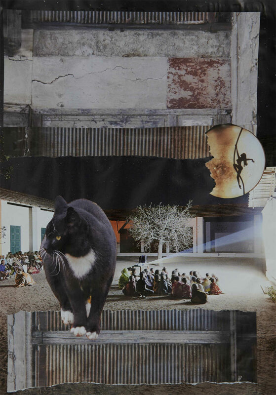 collage-03