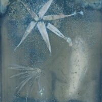 Cyanotype_20-2 