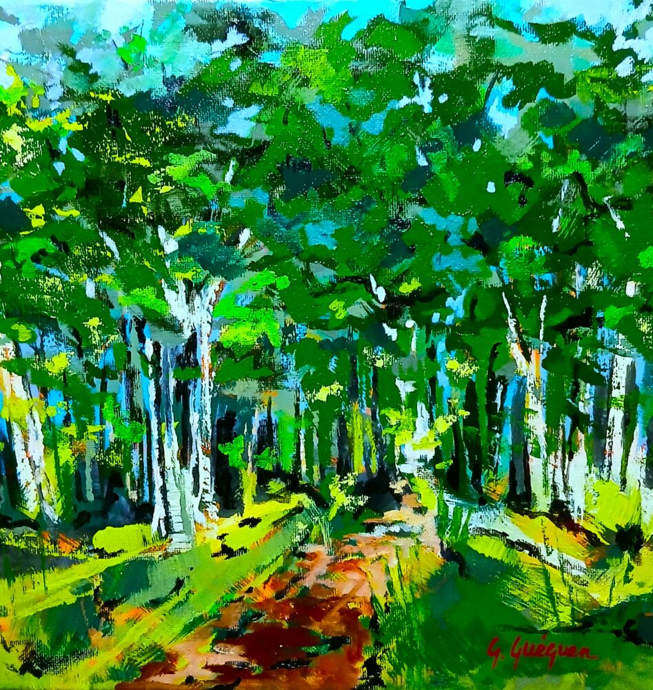  » les bouleaux blancs « 