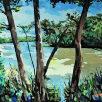  » L’étang de la Saudraie «  