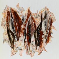 Série « Variations graphiques »