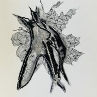 Variations Graphiques 3 