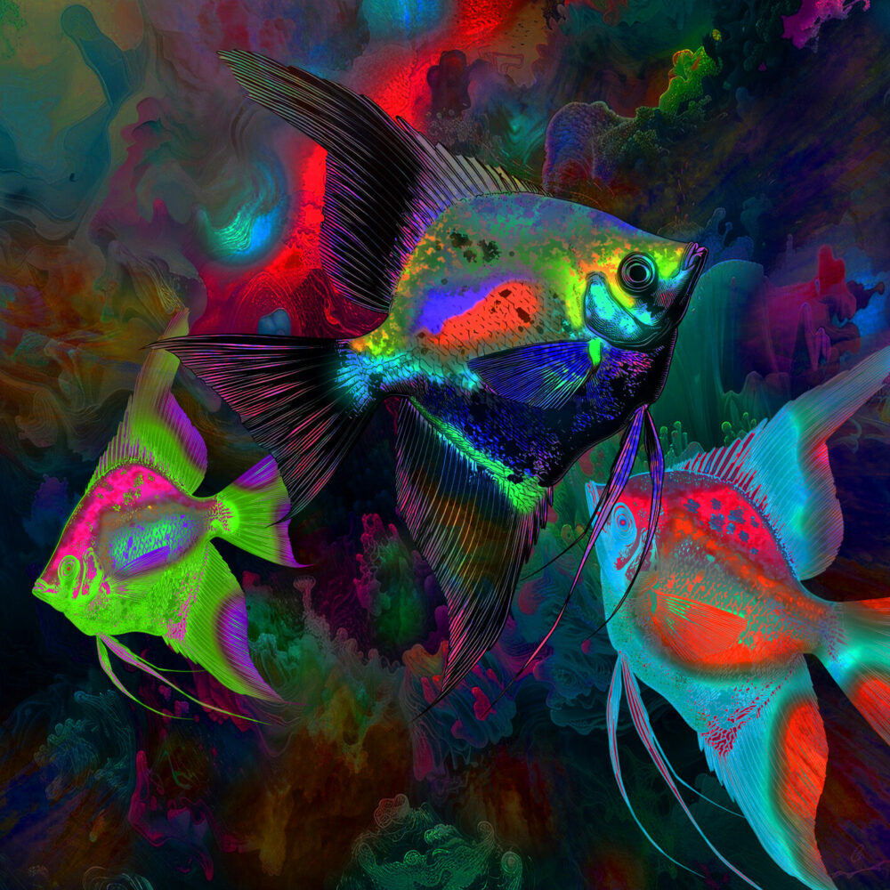 FEERIE AQUATIQUE PF