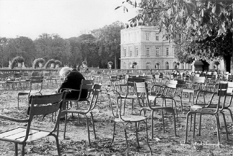 L’automne du jardin du Luxembourg