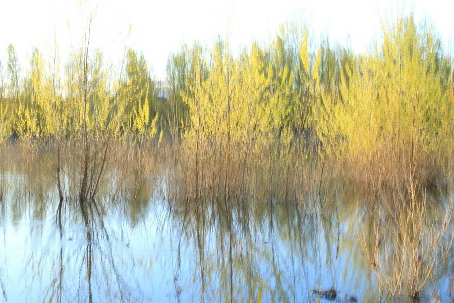 Quand la photographie se confond avec la peinture