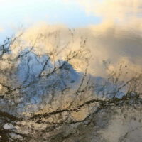 Reflet de Loire 