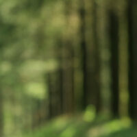 foret guéret1 basse def 