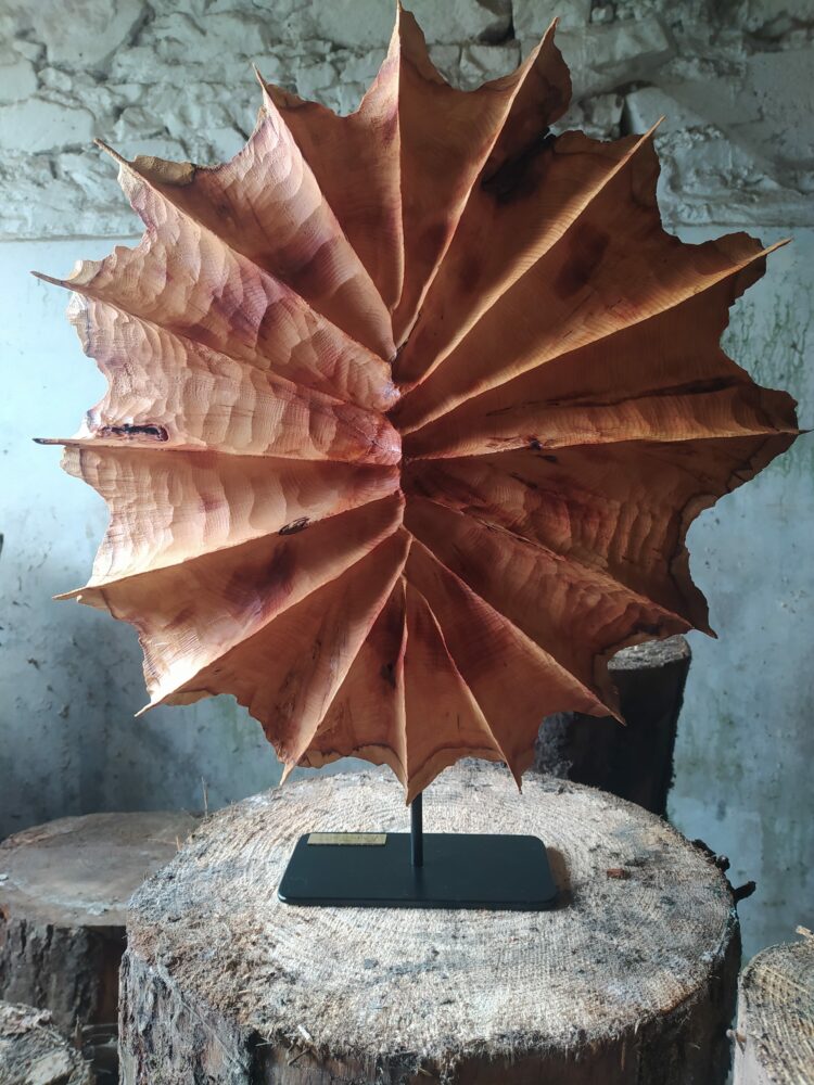Carapace 124