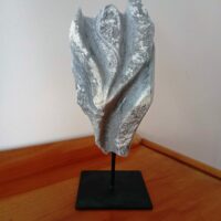 101 envol 2026 – Copie 