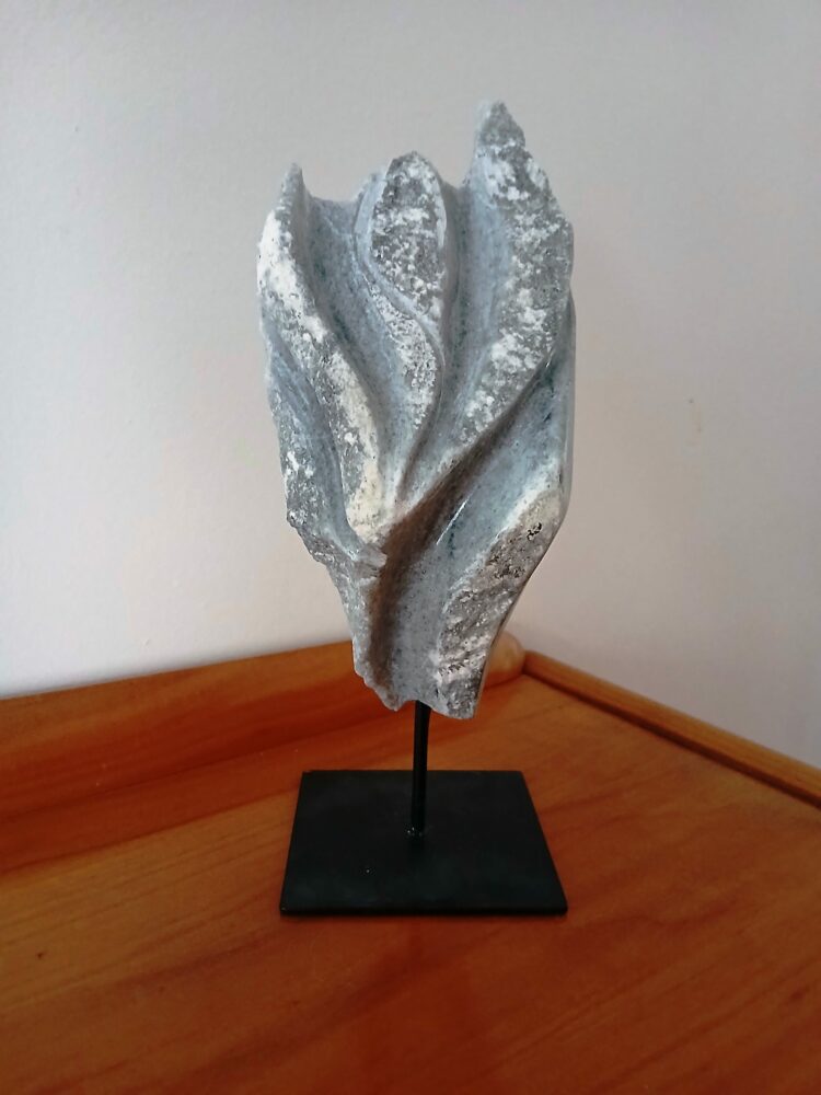 101 envol 2026 – Copie