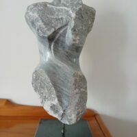 95 Somnia corpus 2025 – Copie 