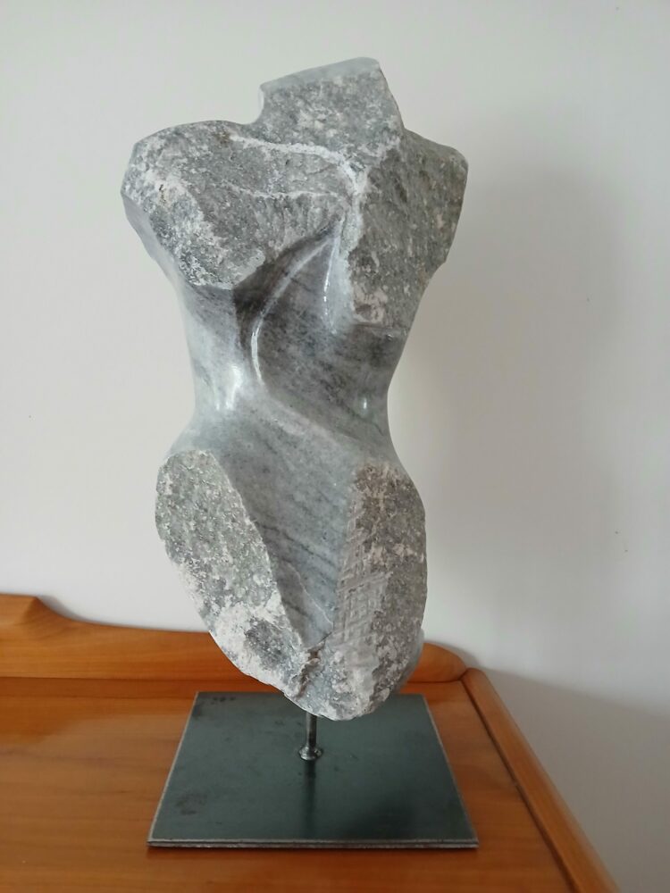 95 Somnia corpus 2025 – Copie