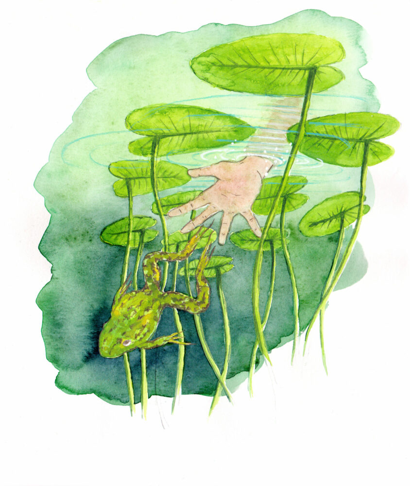 Parcours d’interprétation patrimonial – Saint-Aignan de Grandlieu