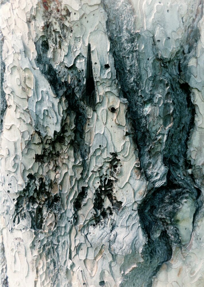 DSC07975 l&rsquo;âne et la chouette