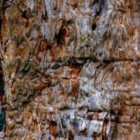 _DSC4433 Les esprits de la nuit 