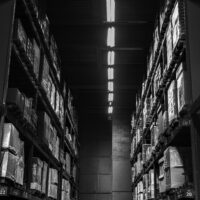 DSC09089 -la cathedrale de cartons – 