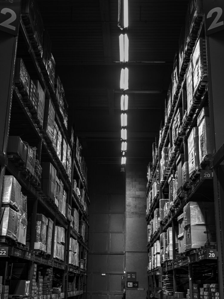 DSC09089 -la cathedrale de cartons –