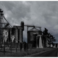 MJB09784 copie-1 copie 