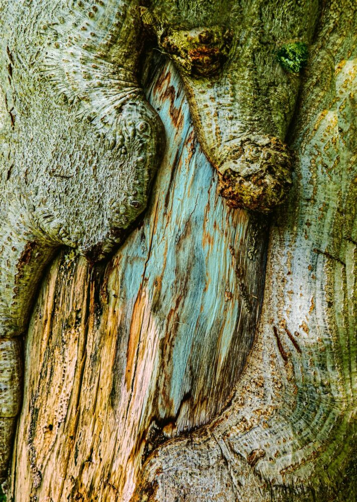 DSC07940 Jar Jar Binks