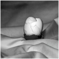MJB00165_Oeuf à la dérive- copie 2 