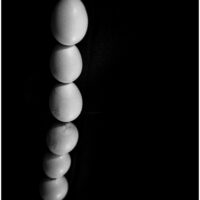 MJB00203 copie 