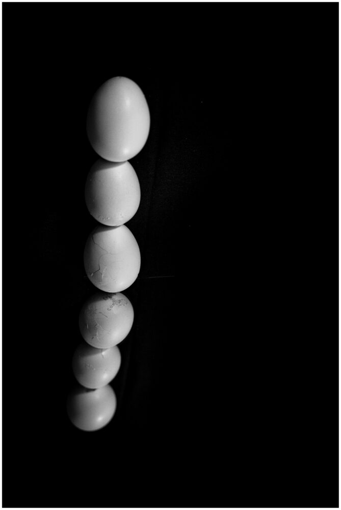 MJB00203 copie