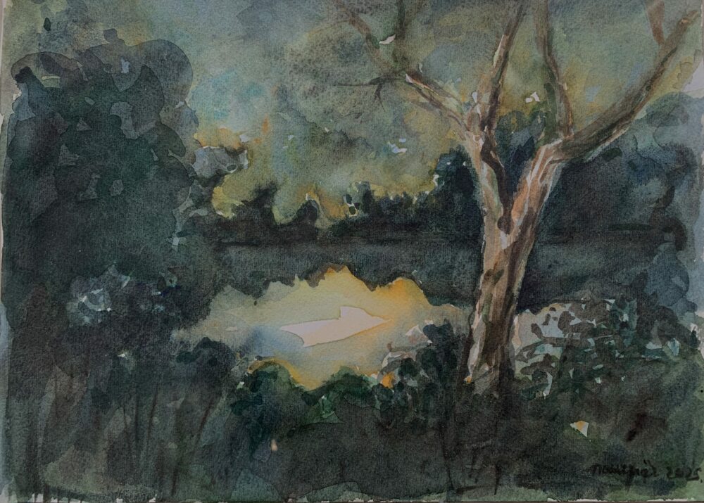 1AB49155-F59C-4506-8307-8D28F17223A2_1_201_a