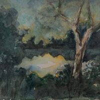 1AB49155-F59C-4506-8307-8D28F17223A2_1_201_a 