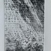 26CC7D69-13EE-4493-8755-AAECC6CB2FBB 