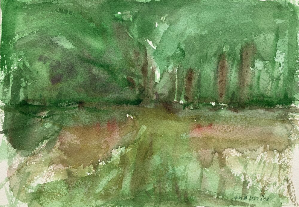 3AD59BF5-D046-4F7F-A166-4C08500BFA2C_1_201_a