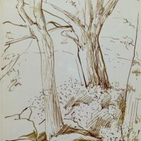 61D402E9-6F99-4E55-AA7D-203961EC5EC1 