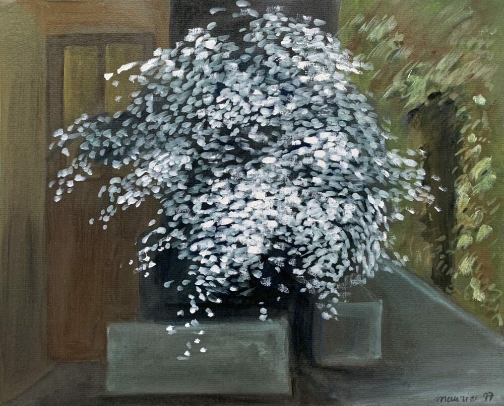 6ABDBE0A-519B-48F8-B999-76297D78305C_1_201_a