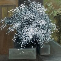 6ABDBE0A-519B-48F8-B999-76297D78305C_1_201_a 