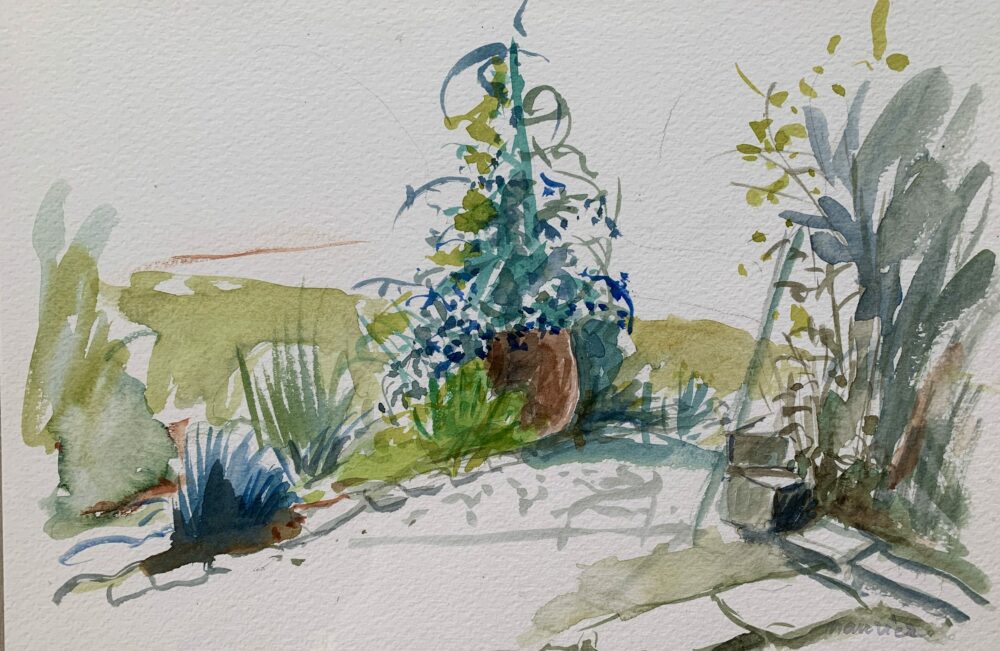 741717DA-FE25-463F-98EF-9991839E42EB_1_201_a