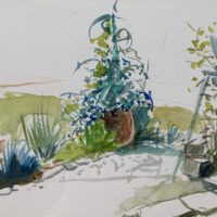 741717DA-FE25-463F-98EF-9991839E42EB_1_201_a 