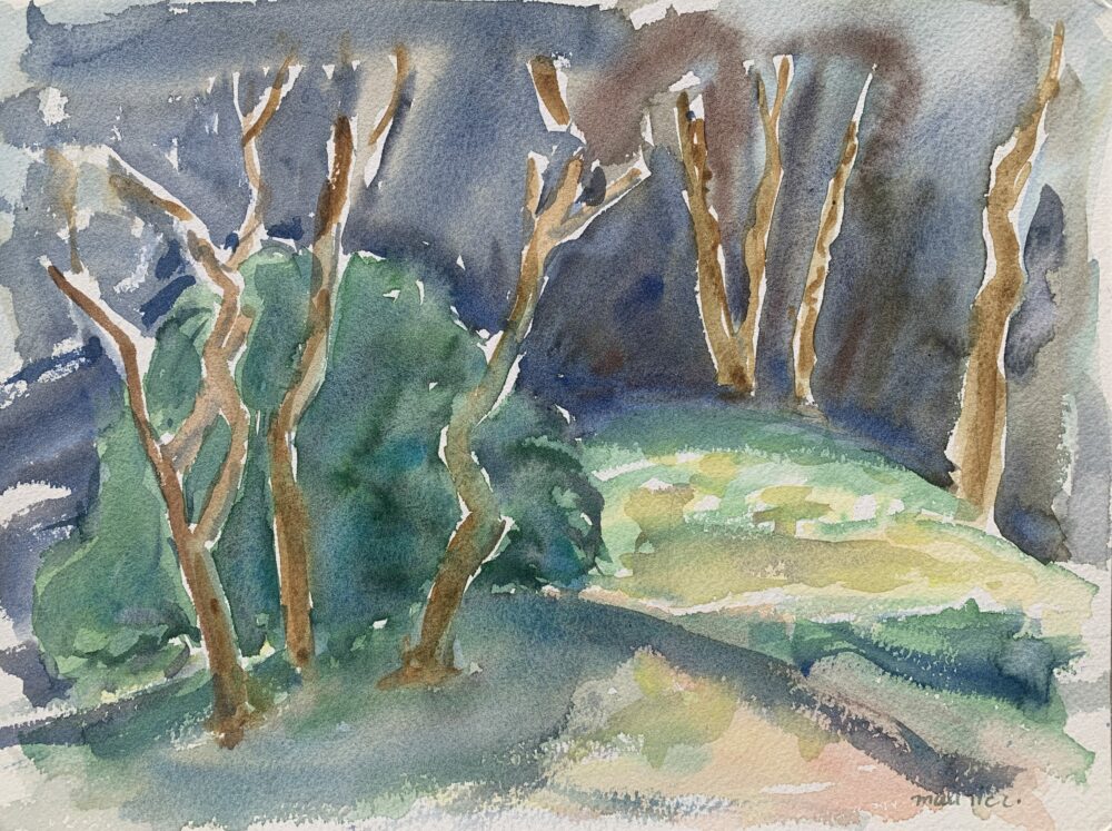 752456A1-8061-4739-BD90-85A7C195E781_1_201_a