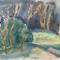 752456A1-8061-4739-BD90-85A7C195E781_1_201_a 