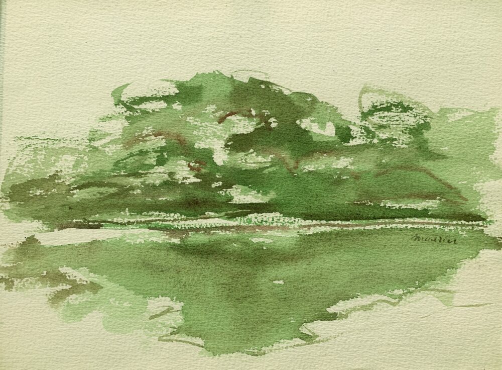 771A23DC-4524-45DD-9085-C00A7098CC17_1_201_a