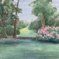 8BD514D8-89D7-4027-AD93-06C6C1D7B3A0_1_201_a 