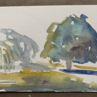 8FF61BCF-EE88-47D8-B057-596CCD6EA982_1_201_a 