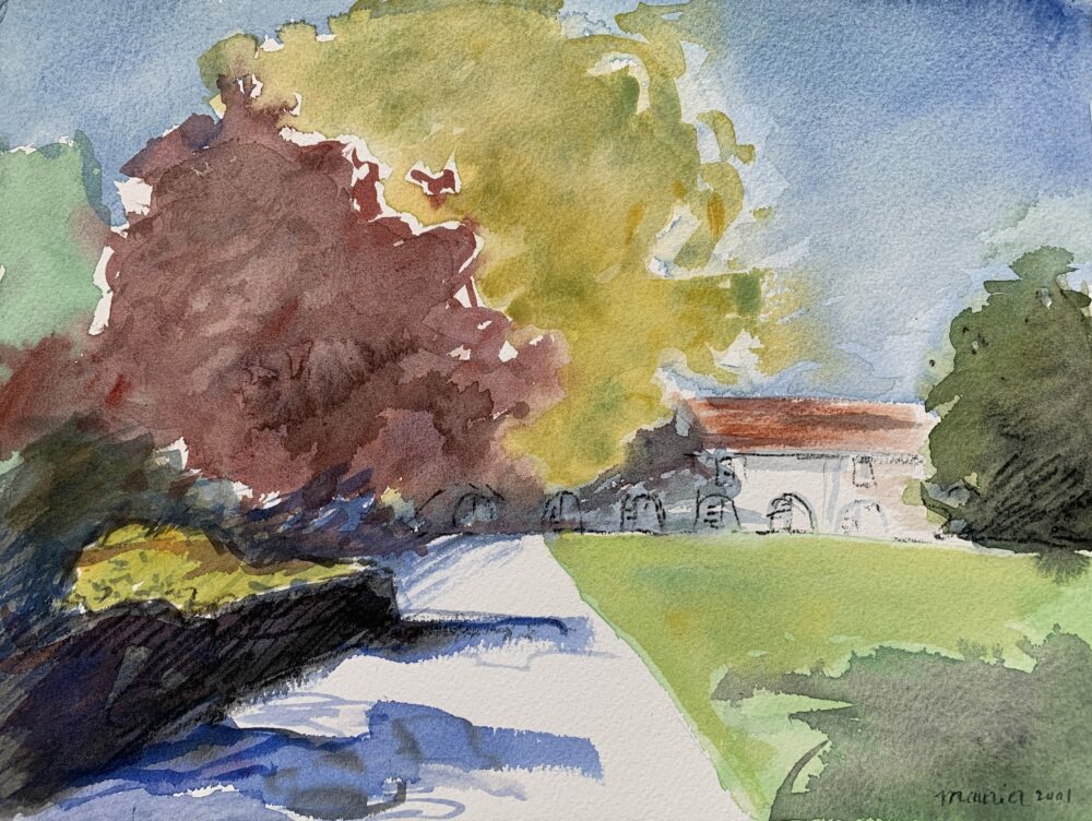 A1216E13-6E2E-4148-9BB3-E5677B43FBF6_1_201_a