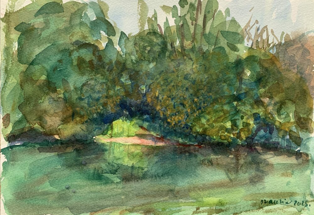 AB80CFFF-E796-49C0-A227-32CA3486EB09_1_201_a