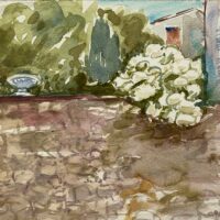 BFBC8BD9-5D01-4E5C-ACC8-55D6607370CC_1_201_a 