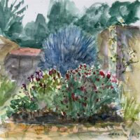 DDCBF215-8D4F-49A7-B00D-54F51536BB2F_1_201_a 